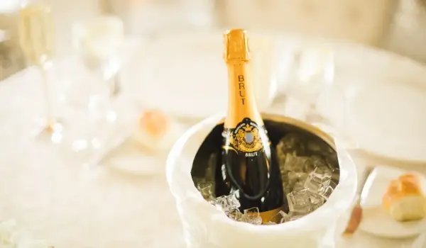 Skal man vælge en champagneskål med eller uden stilk?